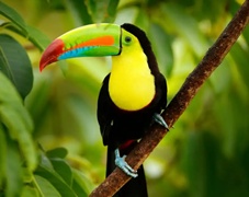 Image of fundraising